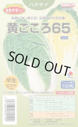 画像: 送料無料　[白菜]　黄ごころ65　ペレット100粒　タキイ種苗(株)　
