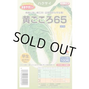 画像: 送料無料　[白菜]　黄ごころ65　ペレット100粒　タキイ種苗(株)　