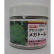 画像1: 送料無料　[ブロッコリー]　メガドーム　5000粒　ペレット種子　タキイ種苗(株) (1)