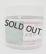 画像: 送料無料　[ブロッコリー]　メガドーム　5000粒　ペレット種子　タキイ種苗(株)