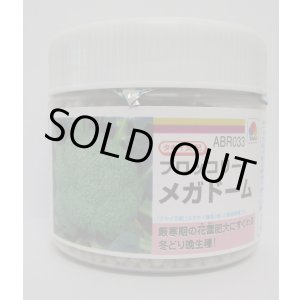 画像: 送料無料　[ブロッコリー]　メガドーム　5000粒　ペレット種子　タキイ種苗(株)