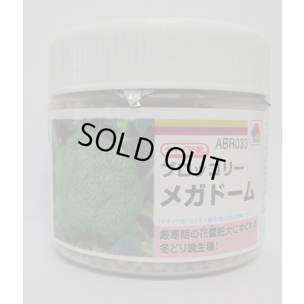 画像1: 送料無料　[ブロッコリー]　メガドーム　5000粒　ペレット種子　タキイ種苗(株) (1)