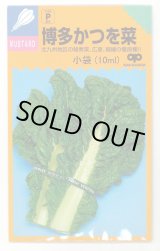 画像: 送料無料　博多かつを菜　10ml 中原採種場（株）