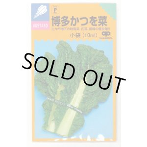 画像: 送料無料　博多かつを菜　10ml 中原採種場（株）