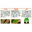 画像2: 送料無料　[大根]　夏秋自慢　約125粒　実咲450（203249）　(株)サカタのタネ (2)