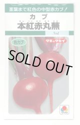 画像: 送料無料　[かぶ]　本紅赤丸蕪　約1500粒　タキイ種苗（株）GF　
