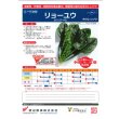 画像2: [ほうれんそう]　リョーユウ　3万粒　渡辺農事（株） (2)
