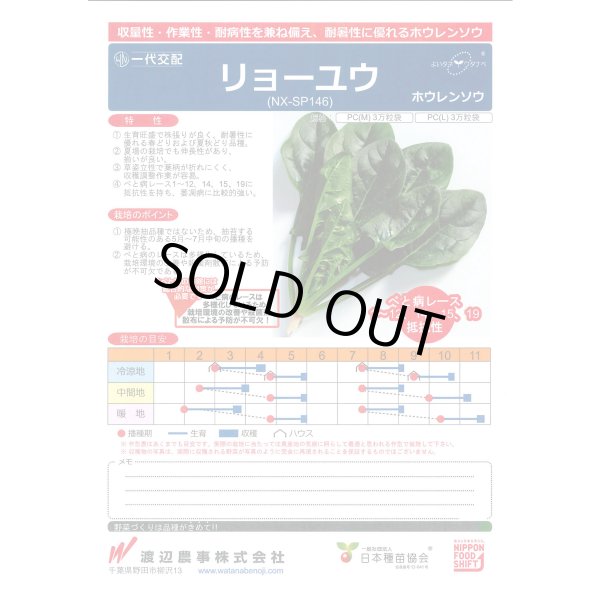 画像2: [ほうれんそう] リョーユウ 3万粒 渡辺農事（株） (2)