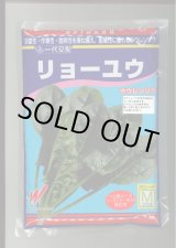 画像: [ほうれんそう]　リョーユウ　3万粒　渡辺農事（株）