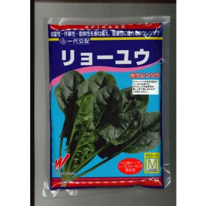 画像: [ほうれんそう]　リョーユウ　3万粒　渡辺農事（株）