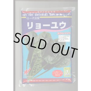 画像: [ほうれんそう]　リョーユウ　3万粒　渡辺農事（株）