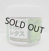 画像: [レタス]　ヴィレタス　コート5000粒　カネコ種苗（株）