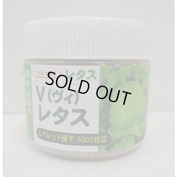 画像1: [レタス]　ヴィレタス　コート5000粒　カネコ種苗（株） (1)