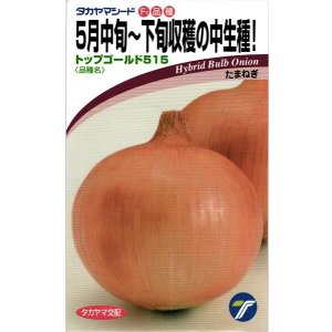 画像: 送料無料　[たまねぎ]　トップゴールド515　　20ml　(株)タカヤマシード