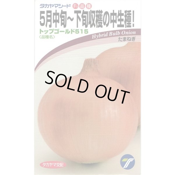 画像1: 送料無料　[たまねぎ]　トップゴールド515　　20ml　(株)タカヤマシード (1)