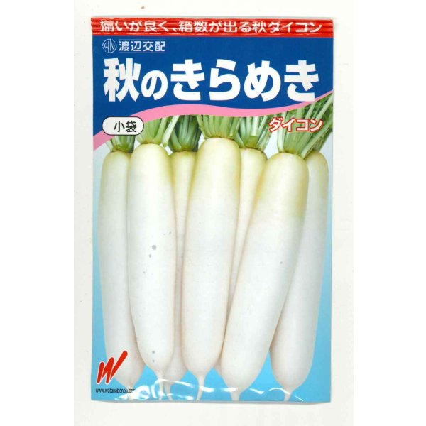 画像1: 送料無料　大根　秋のきらめき　200粒　渡辺農事（株） (1)