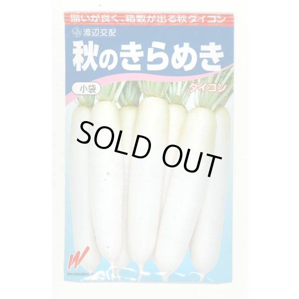 画像1: 送料無料　大根　秋のきらめき　200粒　渡辺農事（株） (1)