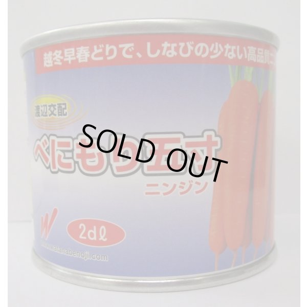 画像1: 野菜種　人参　べにもり五寸　2dl　渡辺農事（株） (1)