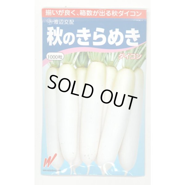 画像1: 送料無料　大根　秋のきらめき　1000粒　渡辺農事（株） (1)