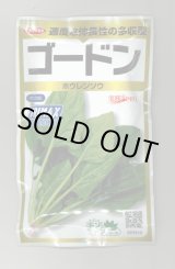 画像: 送料無料　[ほうれんそう]　ゴードン　100ml　(およそ5500粒)　(株)サカタのタネ　実咲PRO（101532）