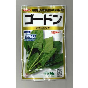 画像: 送料無料　[ほうれんそう]　ゴードン　100ml　(およそ5500粒)　(株)サカタのタネ　実咲PRO