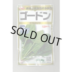 画像: 送料無料　[ほうれんそう]　ゴードン　100ml　(およそ5500粒)　(株)サカタのタネ　実咲PRO（101532）