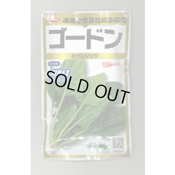 画像1: 送料無料　[ほうれんそう]　ゴードン　100ml　(およそ5500粒)　(株)サカタのタネ　実咲PRO（101532） (1)