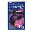 画像1: 送料無料 [キャベツ] ネオルビーSP 2000粒 タキイ種苗(株) (1)