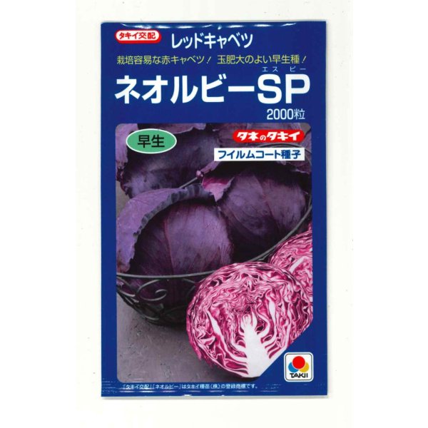 画像1: 送料無料 [キャベツ] ネオルビーSP 2000粒 タキイ種苗(株) (1)