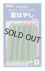 画像: [キュウリ] 夏ばやし 350粒 タキイ種苗