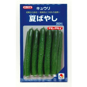 画像: 送料無料　[キュウリ]　夏ばやし　350粒　タキイ種苗