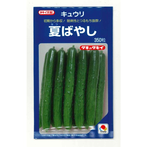 画像1: 送料無料　[キュウリ]　夏ばやし　350粒　タキイ種苗 (1)