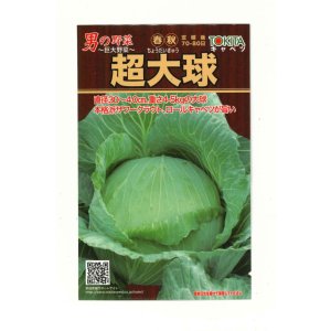 画像: 送料無料　[キャベツ]　超大球　1ml　トキタ種苗(株)