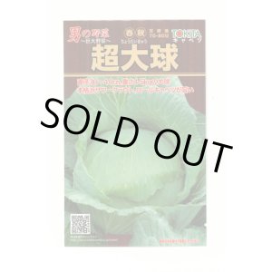 画像: [キャベツ] 超大球 1ml トキタ種苗(株)