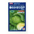 画像1: 送料無料　[キャベツ]　春のかほりSP　2000粒　タキイ種苗(株) (1)