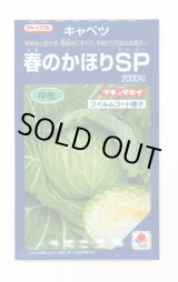 画像: 送料無料　[キャベツ]　春のかほりSP　2000粒　タキイ種苗(株)