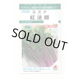 画像: 水菜 紅法師 5ml タキイ種苗(株)GF