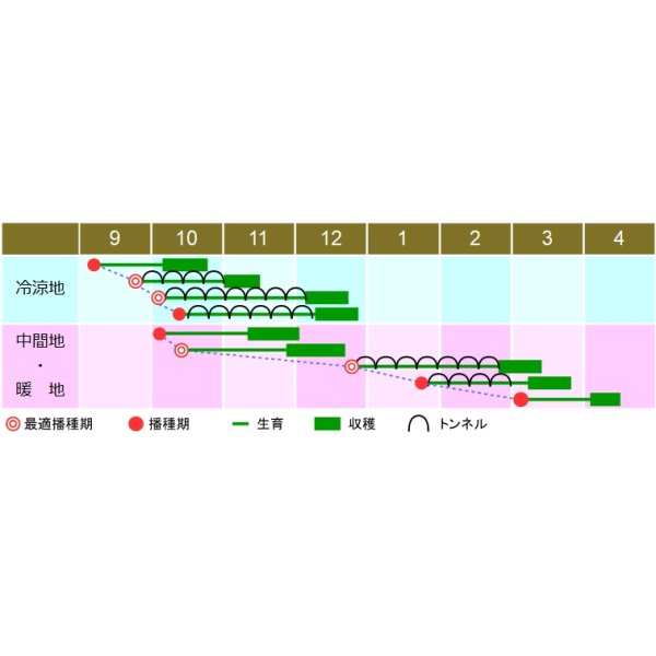 画像2: [ほうれんそう]　味いちばんプレミアム3　1dL　渡辺農事（株） (2)