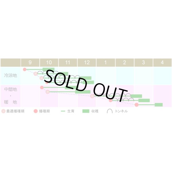 画像2: [ほうれんそう]　送料無料　味いちばんプレミアム3　1dL　渡辺農事（株） (2)