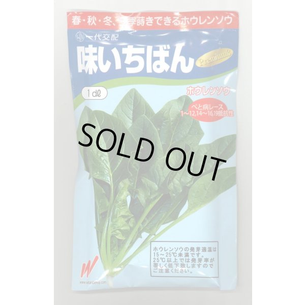 画像1: [ほうれんそう]　送料無料　味いちばんプレミアム3　1dL　渡辺農事（株） (1)