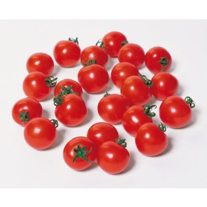 画像: 送料無料　[トマト/ミニトマト]　キャロルスター　1000粒　(株)サカタのタネ