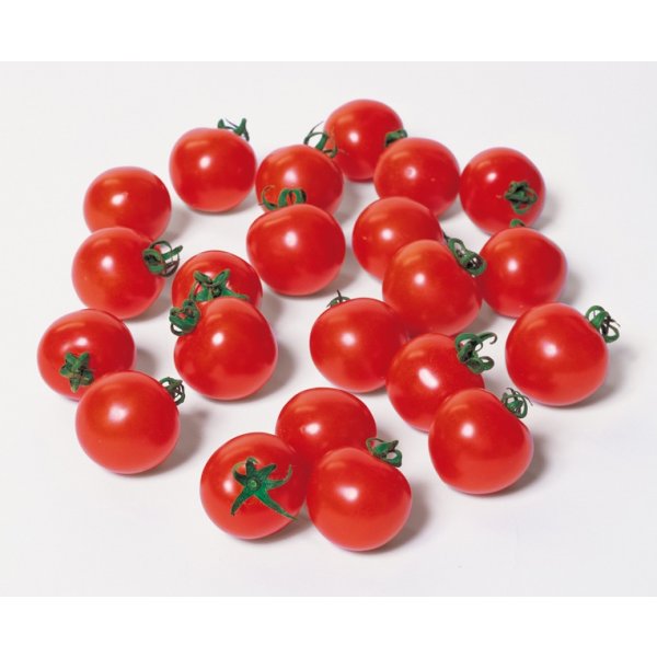 画像1: 送料無料　[トマト/ミニトマト]　キャロルスター　1000粒　(株)サカタのタネ (1)