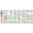 画像2: 送料無料　[トマト/ミニトマト]　キャロルスター　1000粒　(株)サカタのタネ (2)