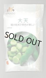 画像: 送料無料　[そら豆]　大天　23粒　ヴィルモランみかど（株）