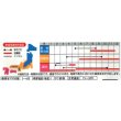 画像3: 送料無料　アイデアル(スイスチャード)　約30粒　(株)サカタのタネ　実咲350（002963） (3)