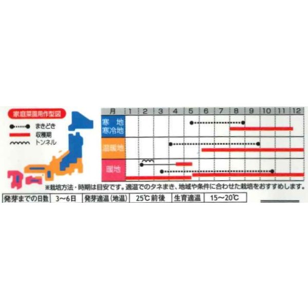 画像3: 送料無料　アイデアル(スイスチャード)　約30粒　(株)サカタのタネ　実咲350（002963） (3)