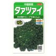 画像1: 送料無料　タアツアイ　約940粒　（株）サカタのタネ　実咲250（003000） (1)
