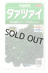画像: 送料無料　タアツアイ　約940粒　（株）サカタのタネ　実咲250（003000）