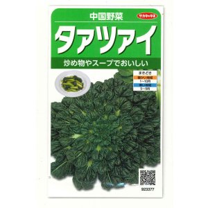 画像: 送料無料　タアツアイ　約940粒　（株）サカタのタネ　実咲250（003000）