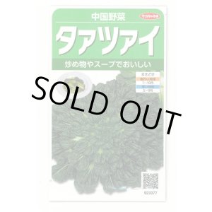 画像: 送料無料　タアツアイ　約940粒　（株）サカタのタネ　実咲250（003000）